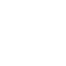 FIKKITY - Logo da tatuadora especialista em Blackwork, Fine Line, Oriental